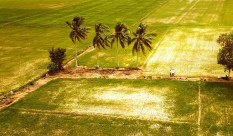 Nước ngọt cho ĐBSCL: Cần lời giải cấp thiết