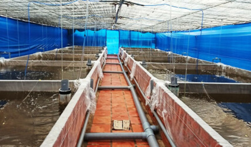 Nâng tầm quản lý tài nguyên nước bằng công nghệ